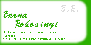 barna rokosinyi business card